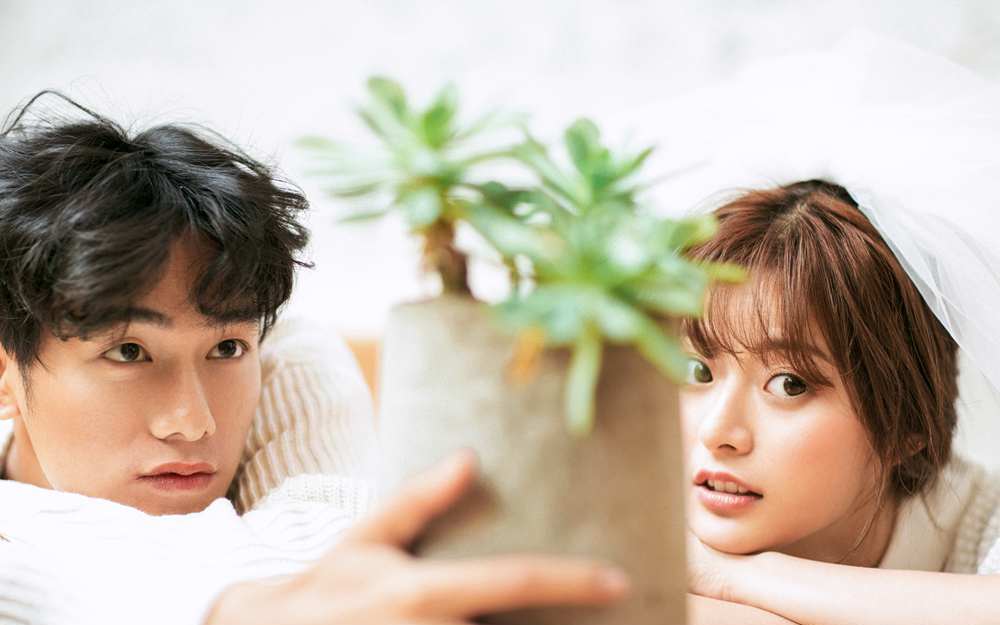 城市微旅拍 夜景 蘇州 上海