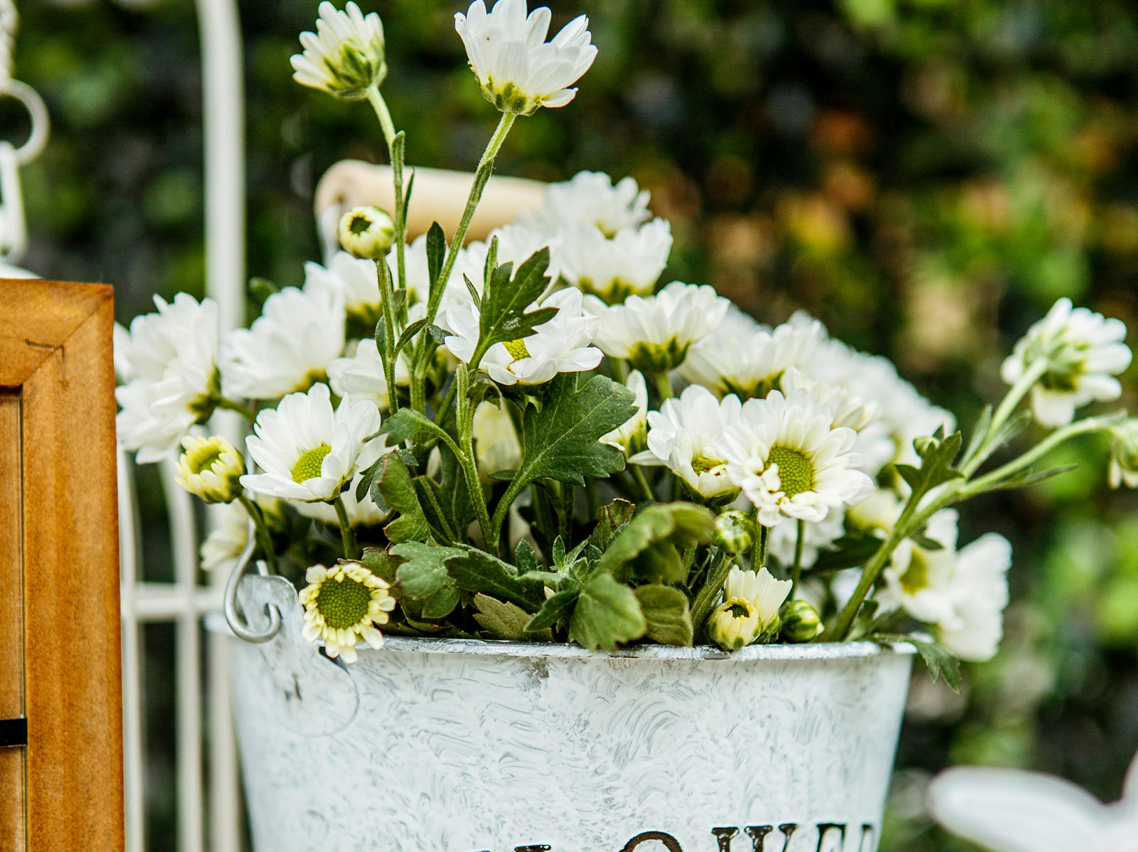 户外婚礼、美美哒小清新-枣庄印象