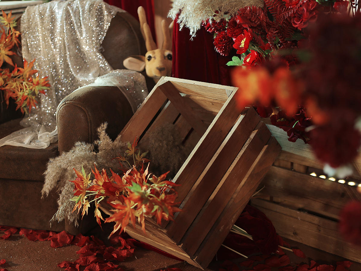 2020新品套餐限时半价预售