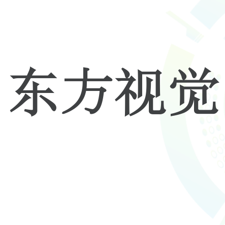 东方视觉