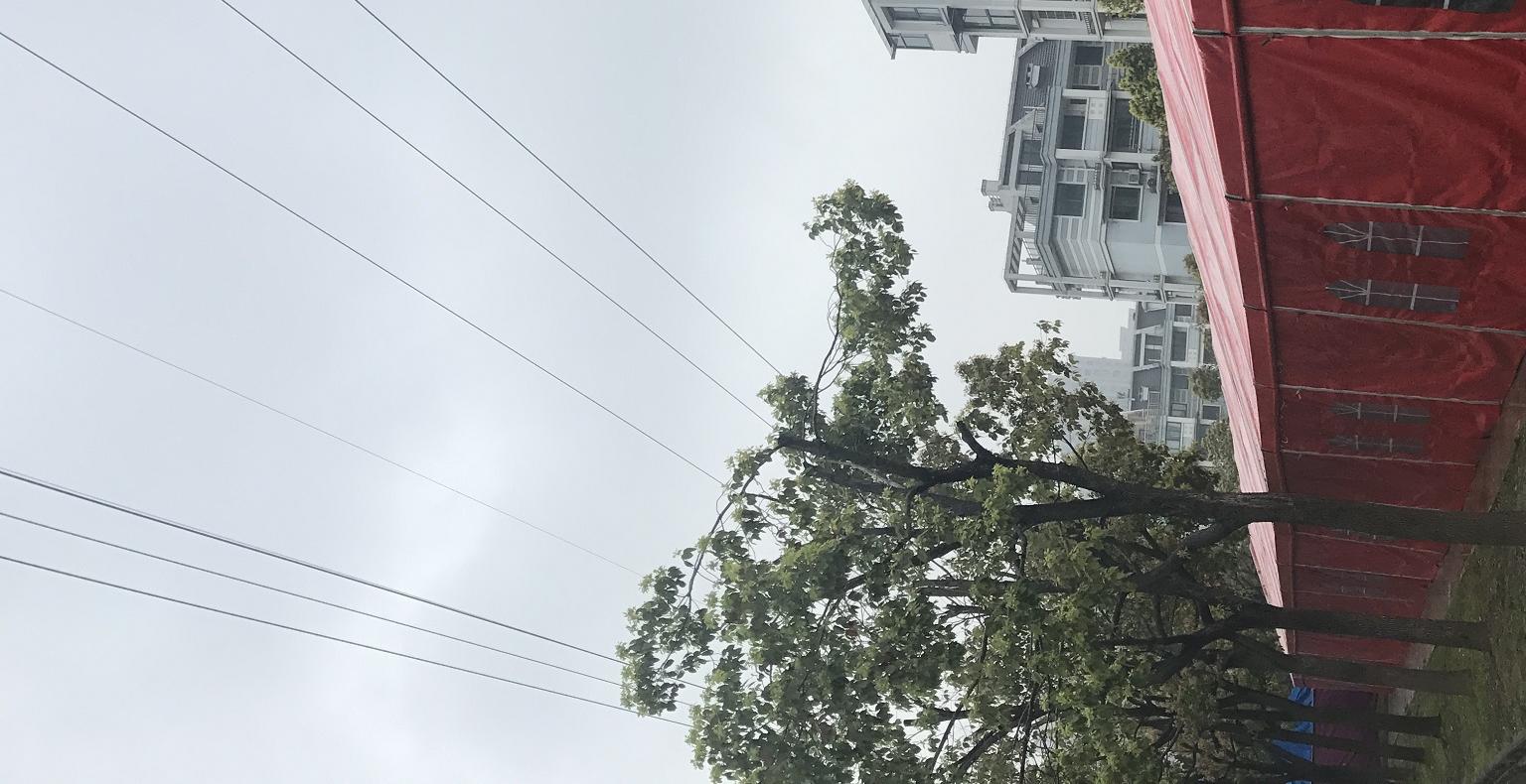 绍兴乡下欧式大棚婚礼——新中式
