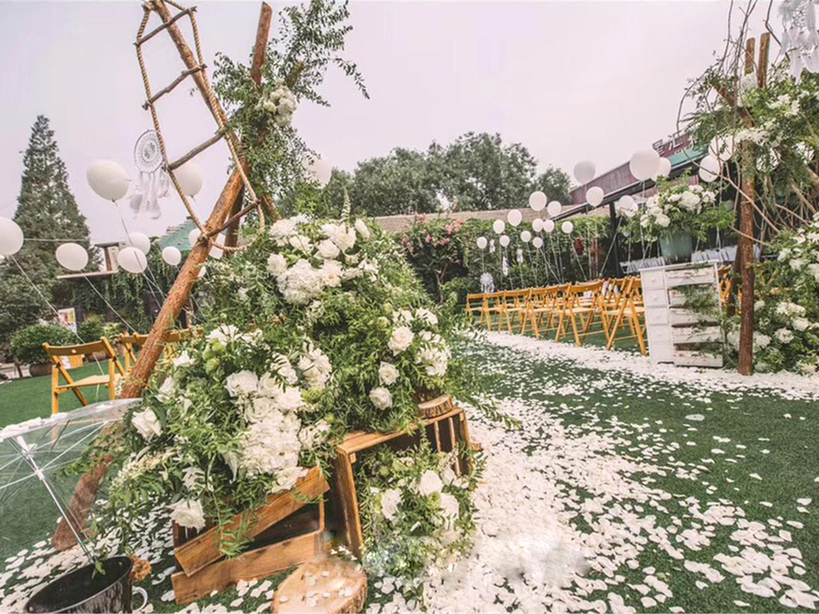 11.11龙园户外小清新场景