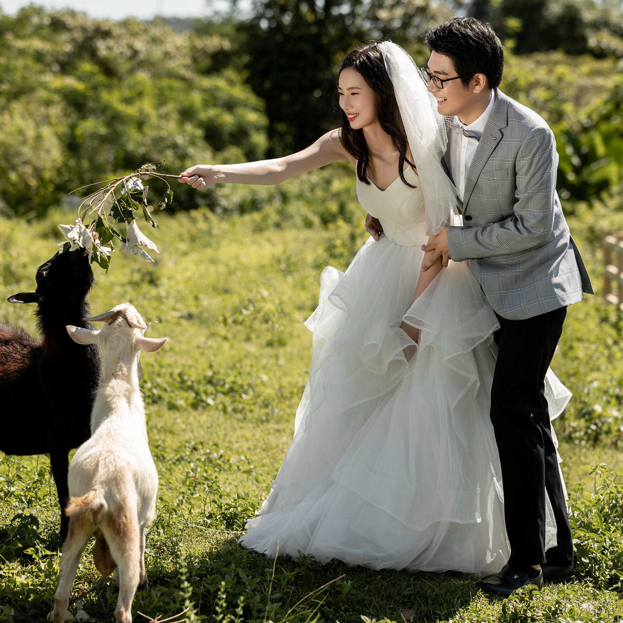 Baistudio婚纱摄影 海边沙滩+草原牧场