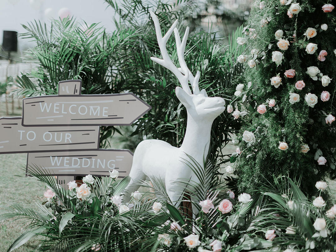 滁州帝王婚庆-户外草坪婚礼【日光正暖】