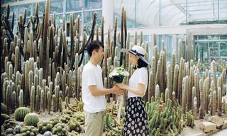 《为爱旅行—植物园》乌克丽丽婚纱摄影