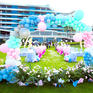 三亚山海天蓝白气球鲜花草坪婚礼超值场地布置