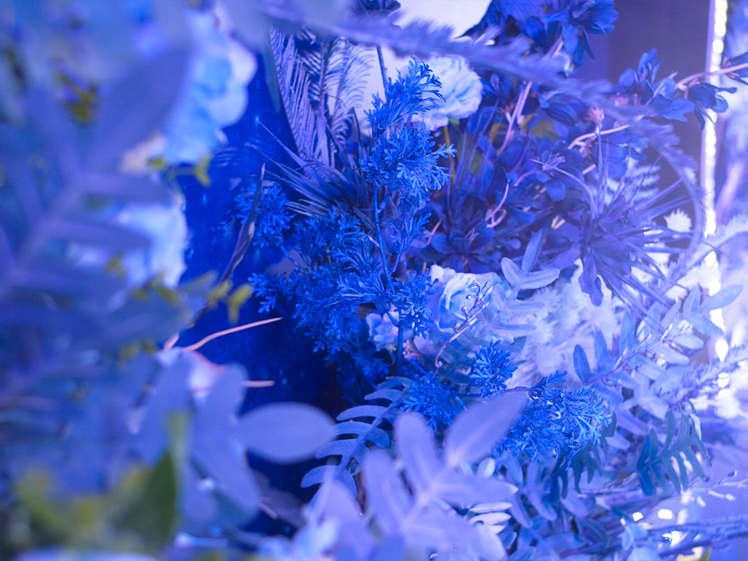 麦瑞蜜影视 首席双机位婚礼摄像