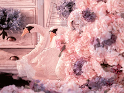 直击少女心的Pink婚礼—铂悦婚礼