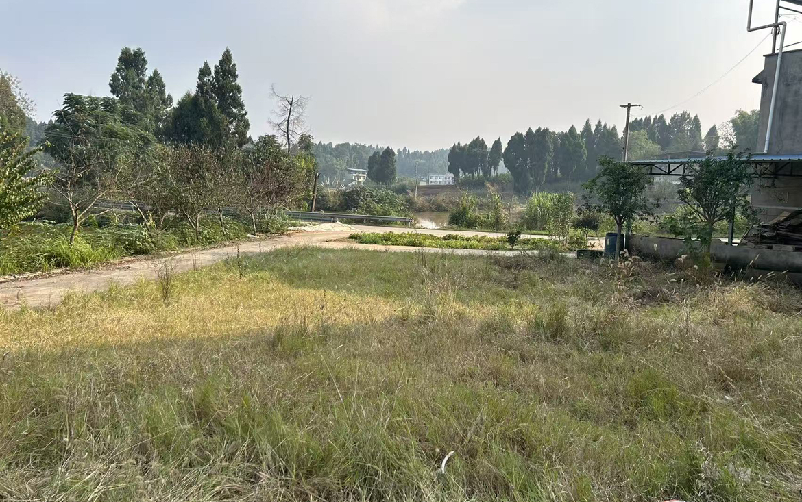 今日婚礼现场遂宁安居