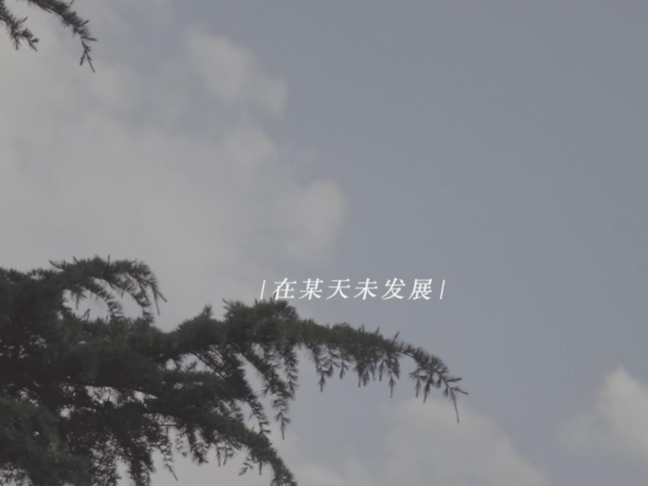 创始人档位三机位婚礼+快剪