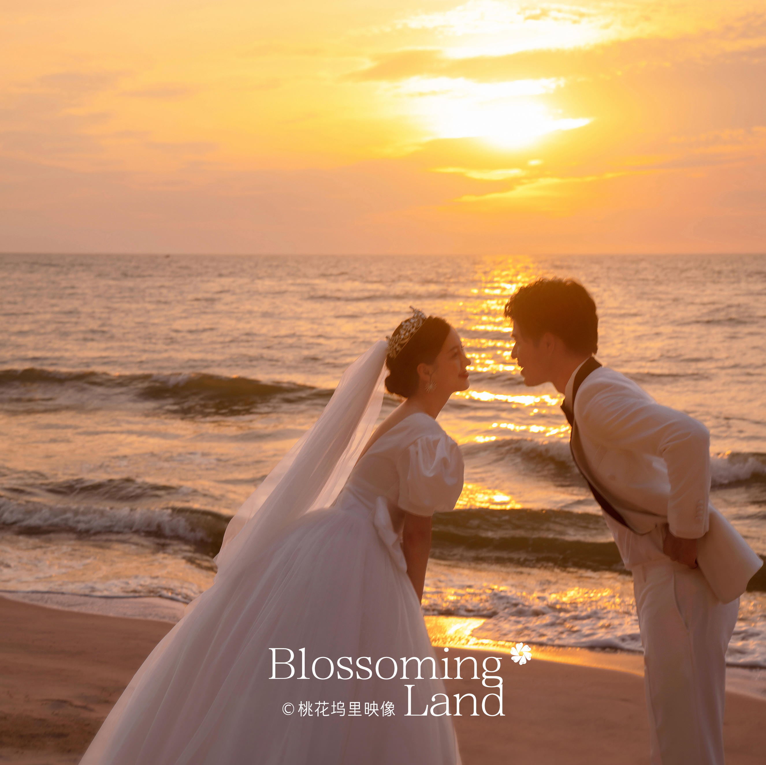 风筝有风 海豚有海|唯美大气夕阳海景夏季限定必拍