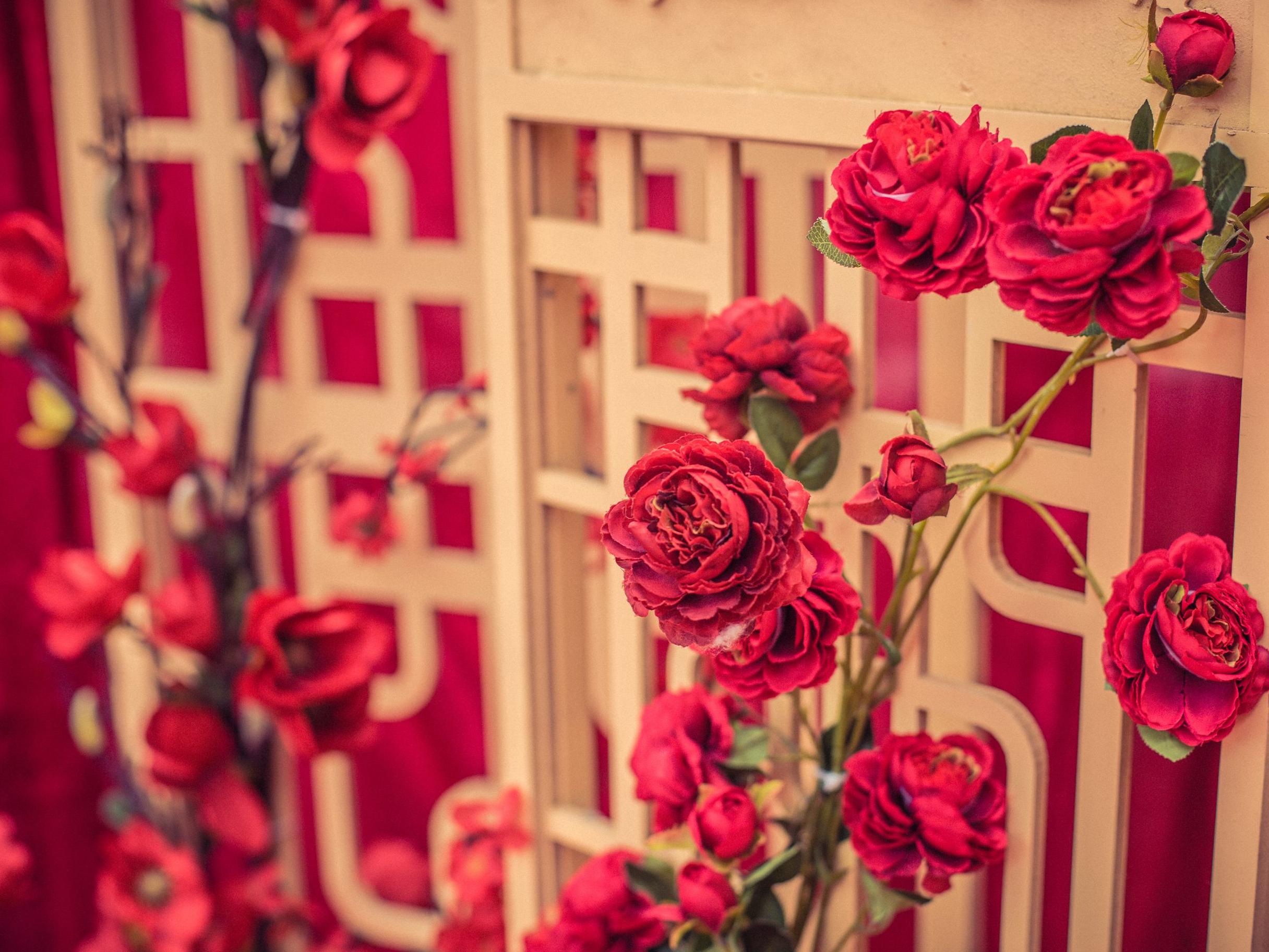 【威斯特出品】弥香新中式婚礼-满足你的中式幻想