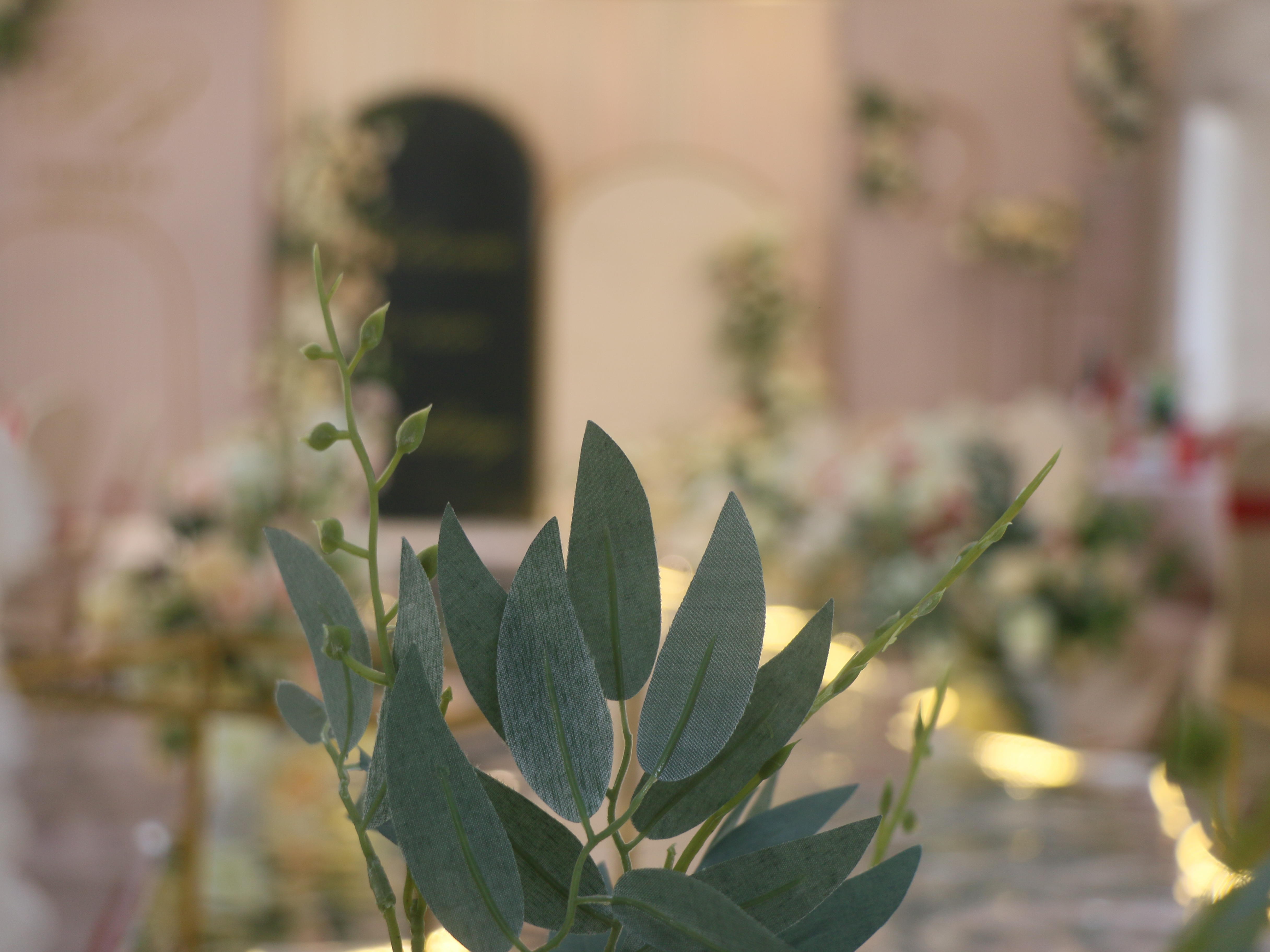 香槟色唯美婚礼           