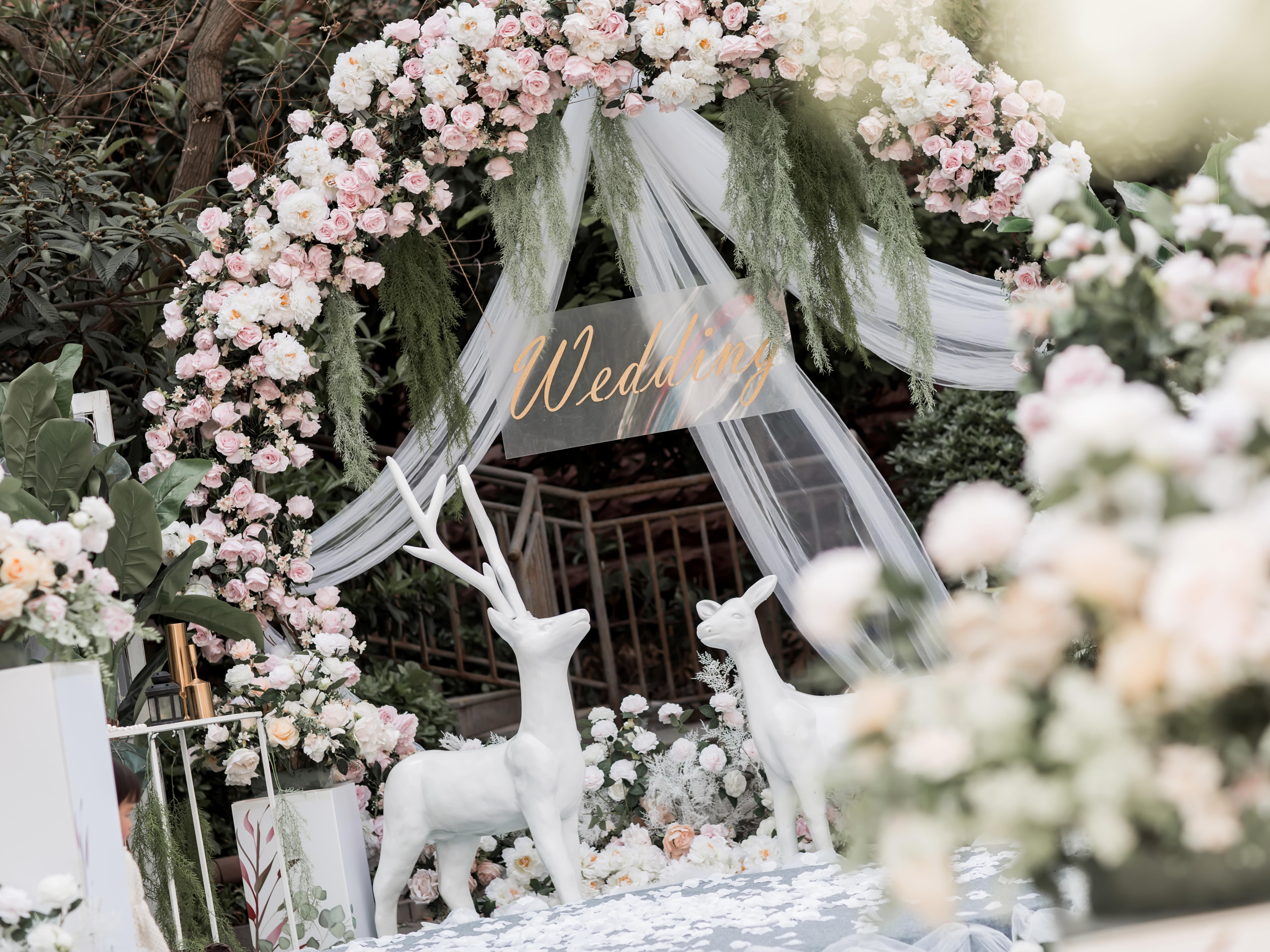 皇城铂嘉婚礼--清新户外