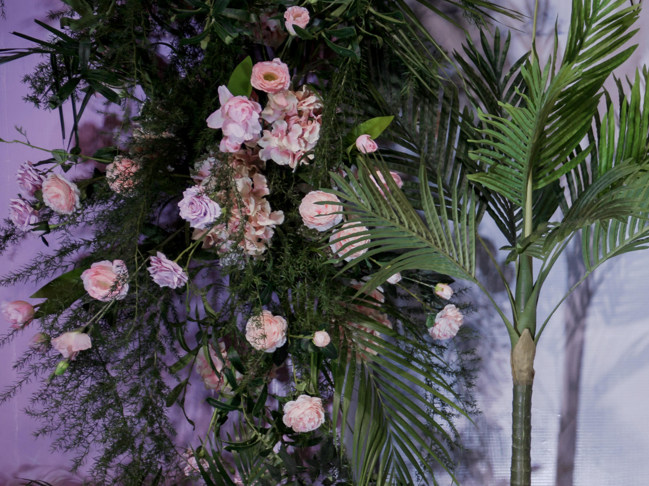 千百度『粉紫色梦幻婚礼』