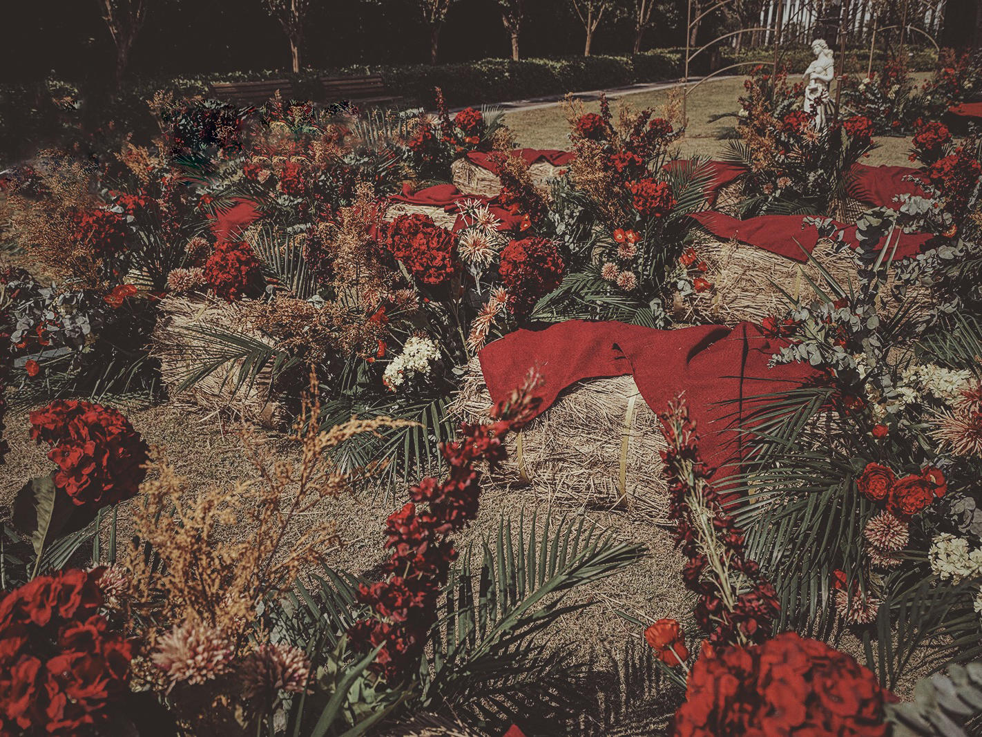 上海电视台黄红色北欧风婚礼