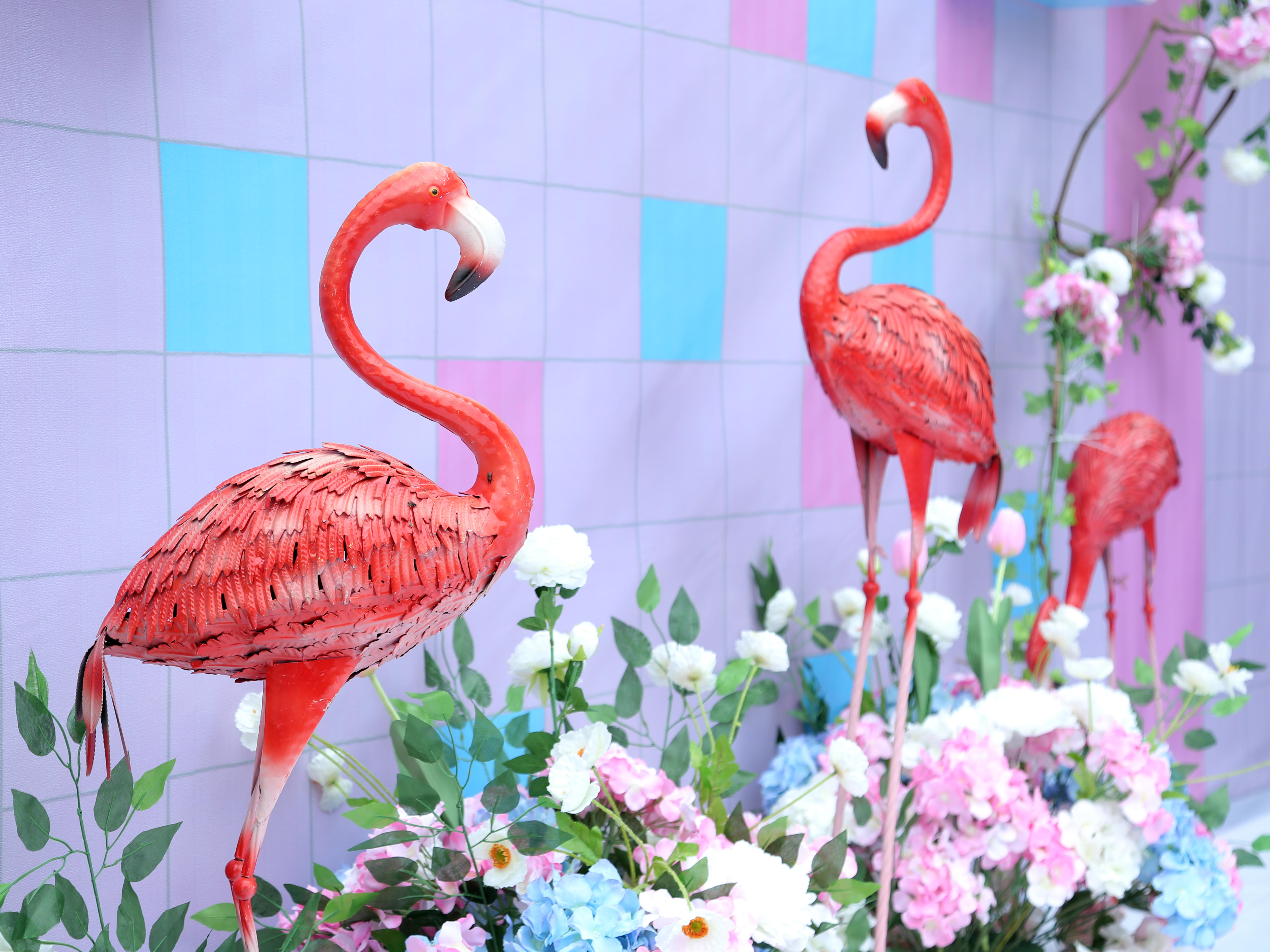 清新户外婚礼  适合炎热夏季