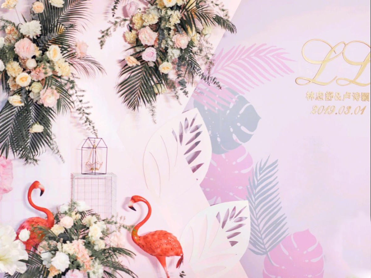 无锡麦琪婚礼|INS风婚礼《简单》