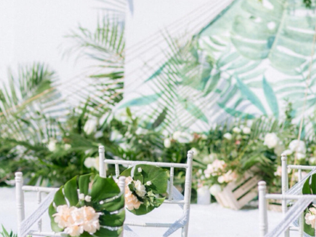 进店咨询有礼遇见小清新森系白绿色户外婚礼布置策划