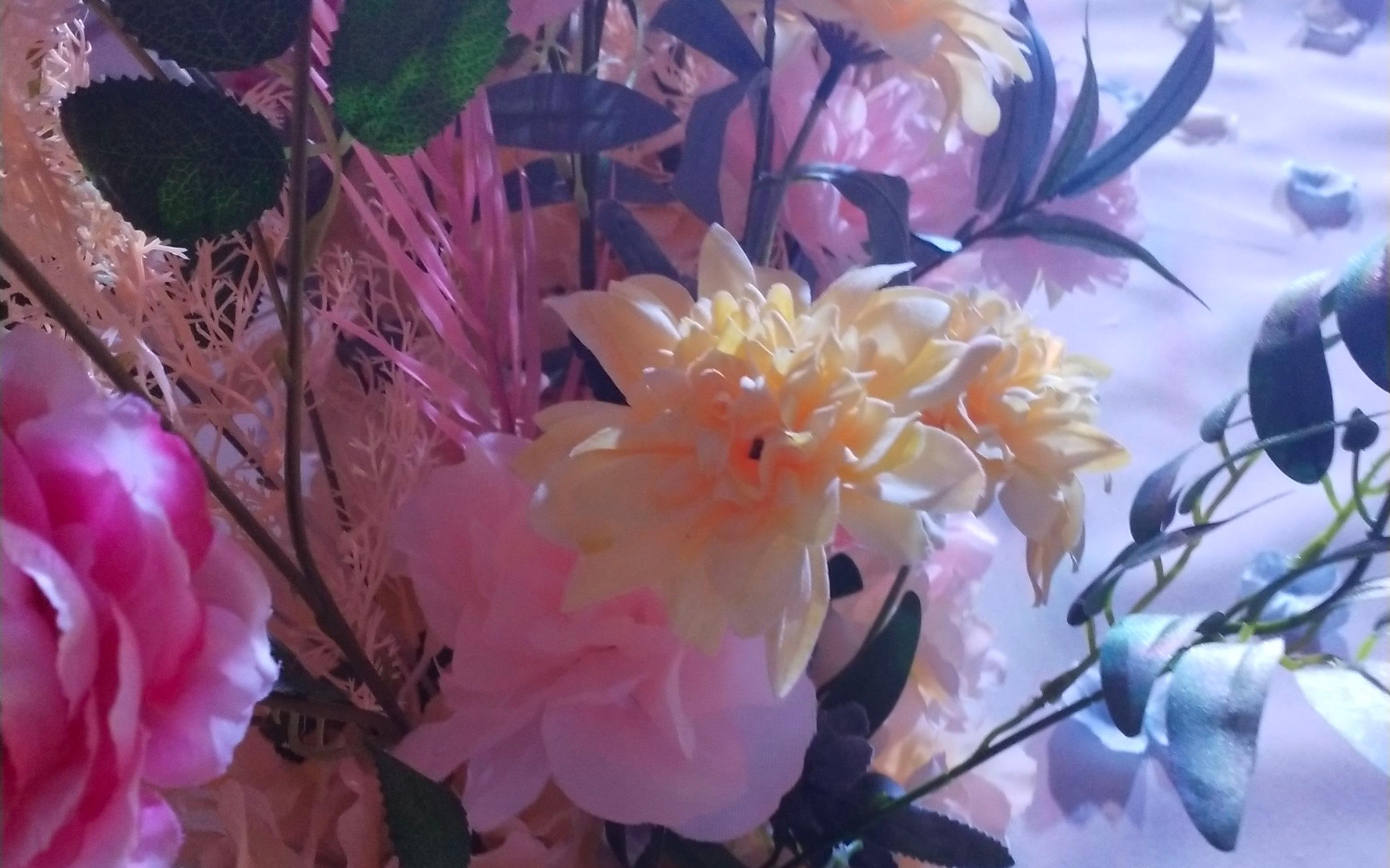 郑家  鸿福楼   星空婚礼