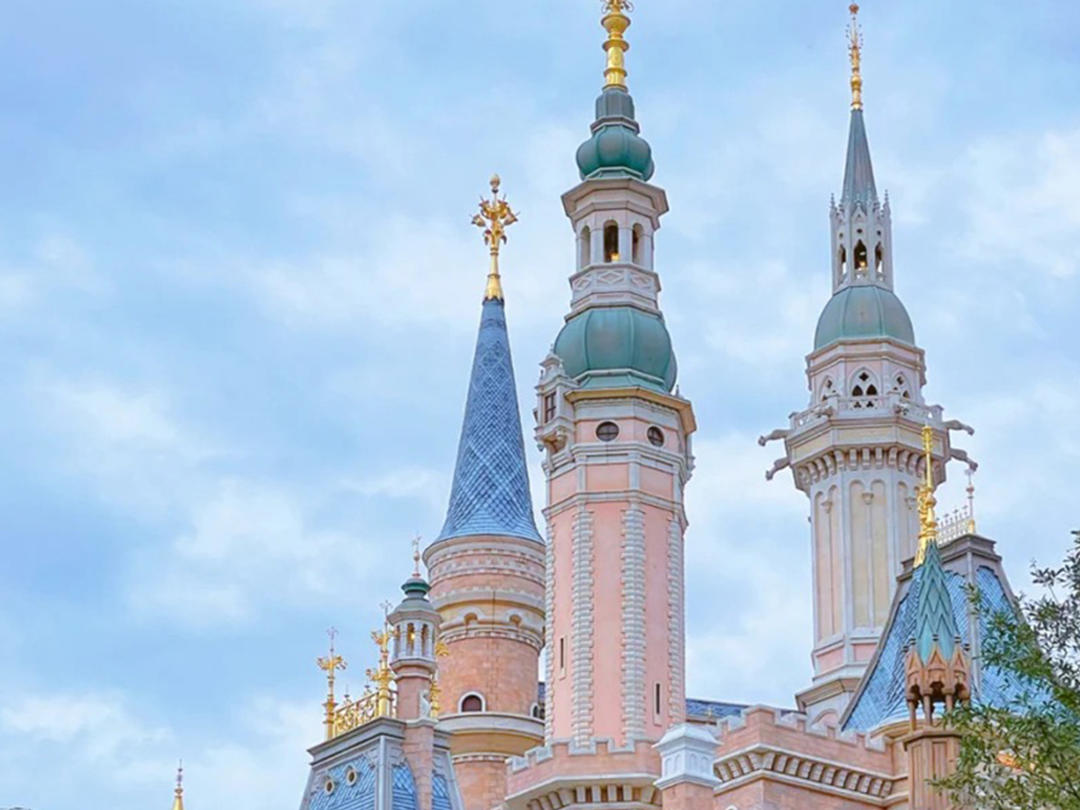 【上海迪士尼主题】求婚策划