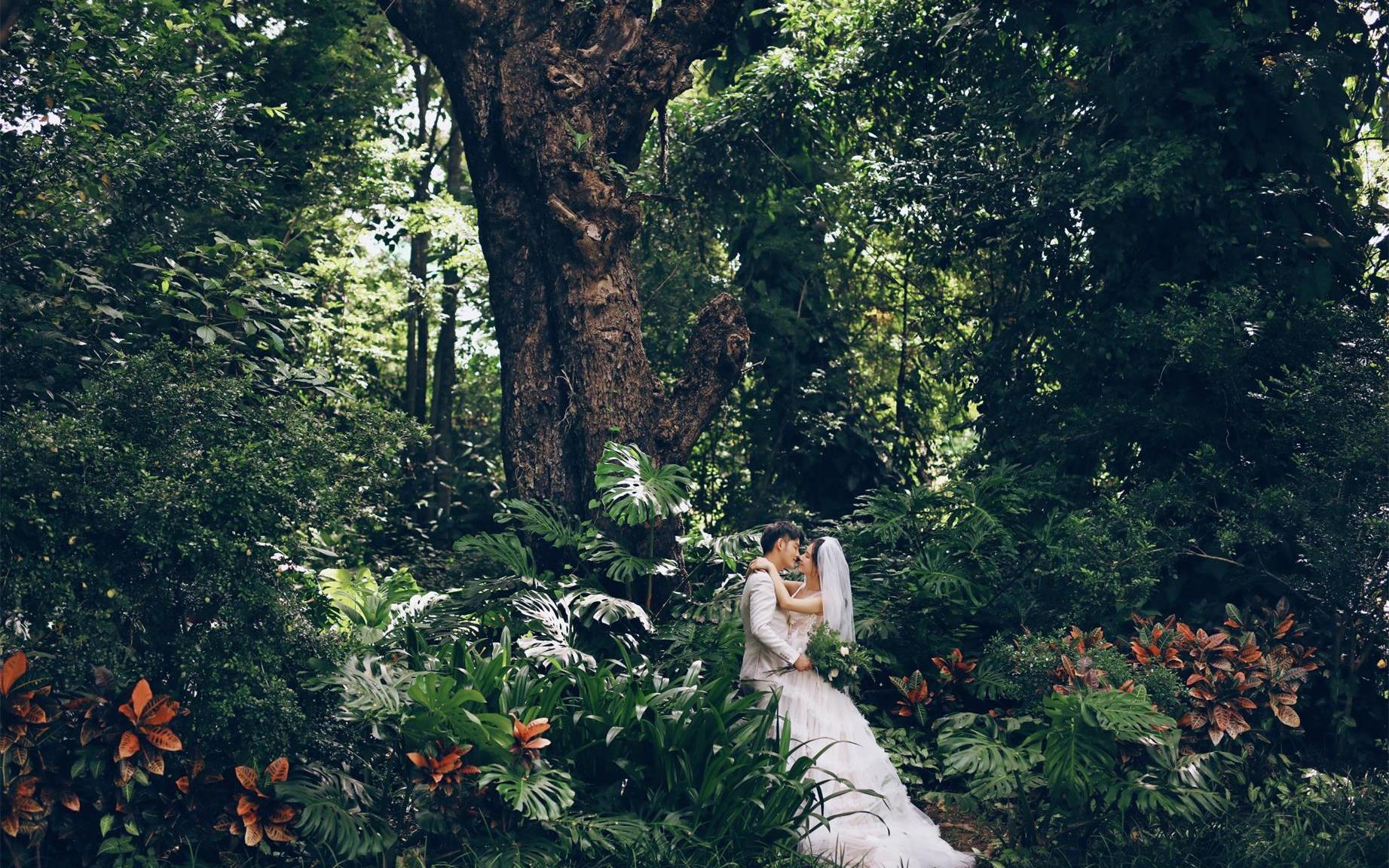 西双版纳：曼听公园旅拍分享