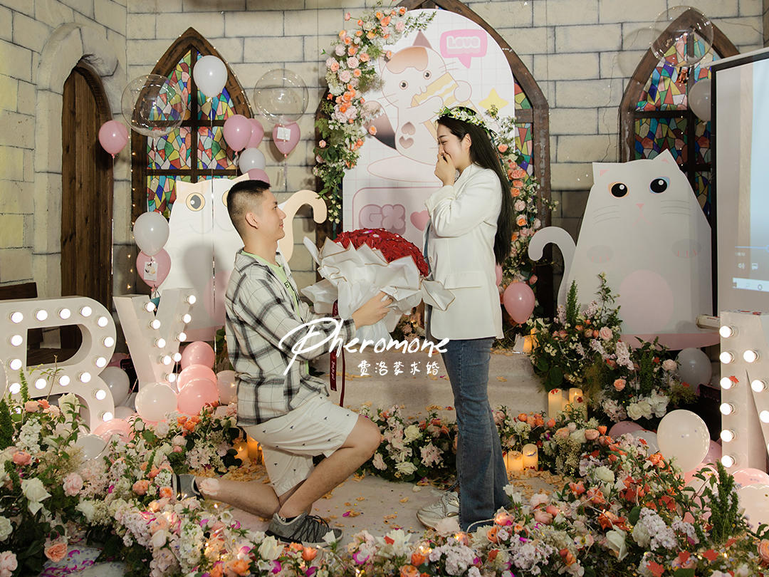 卡通猫咪主题｜惊吓过后的浪漫｜密室求婚