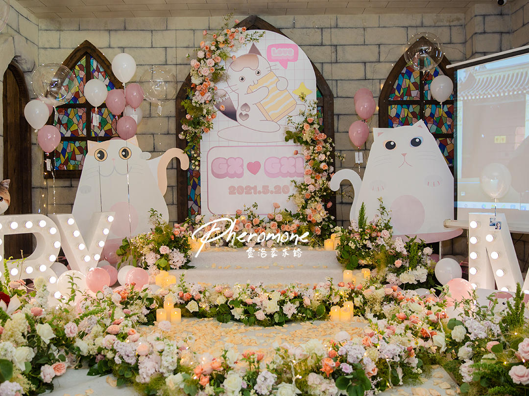 卡通猫咪主题｜惊吓过后的浪漫｜密室求婚