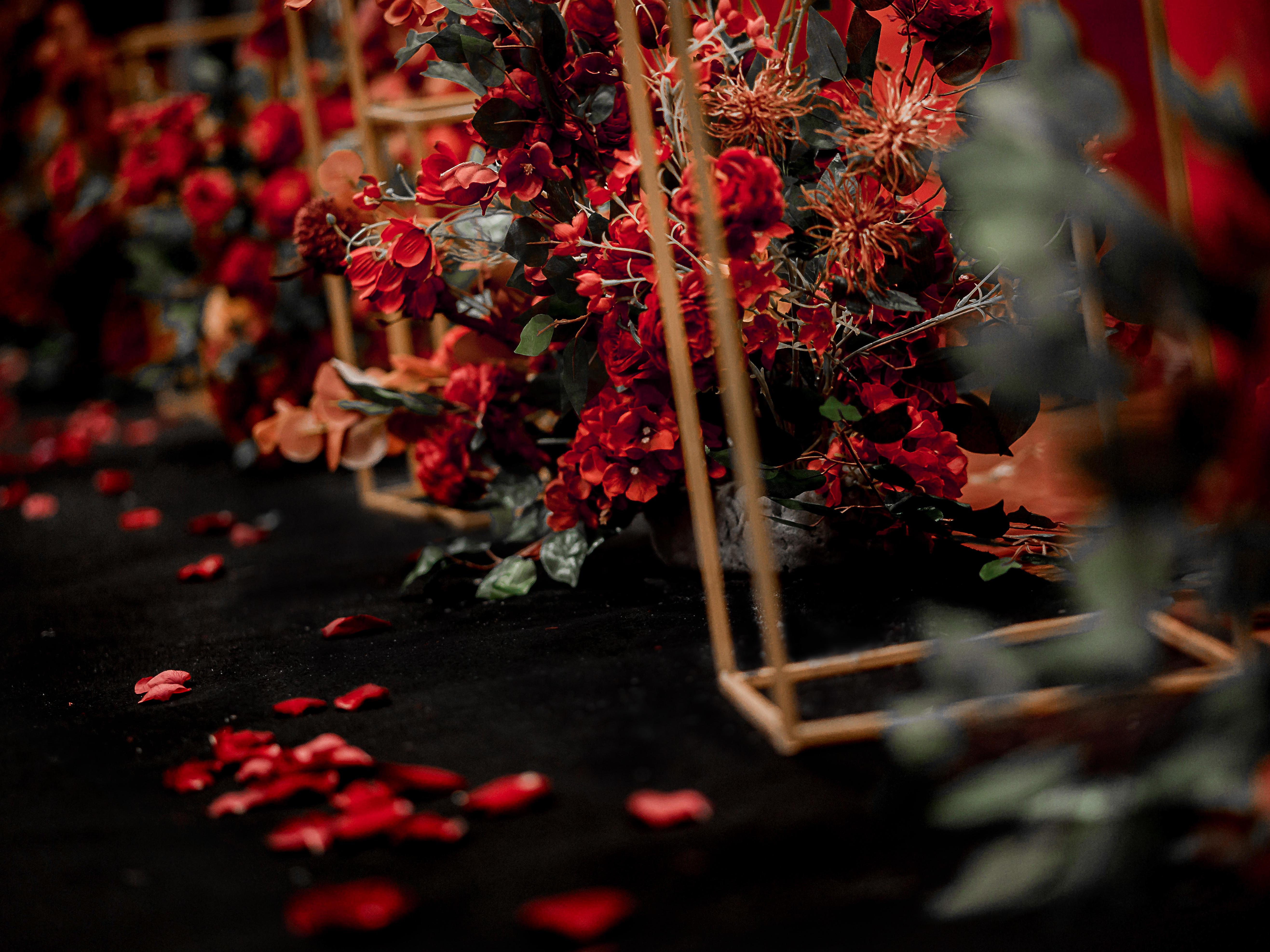 [佰顺庆]红黑是简单大气—盛世开元大酒店