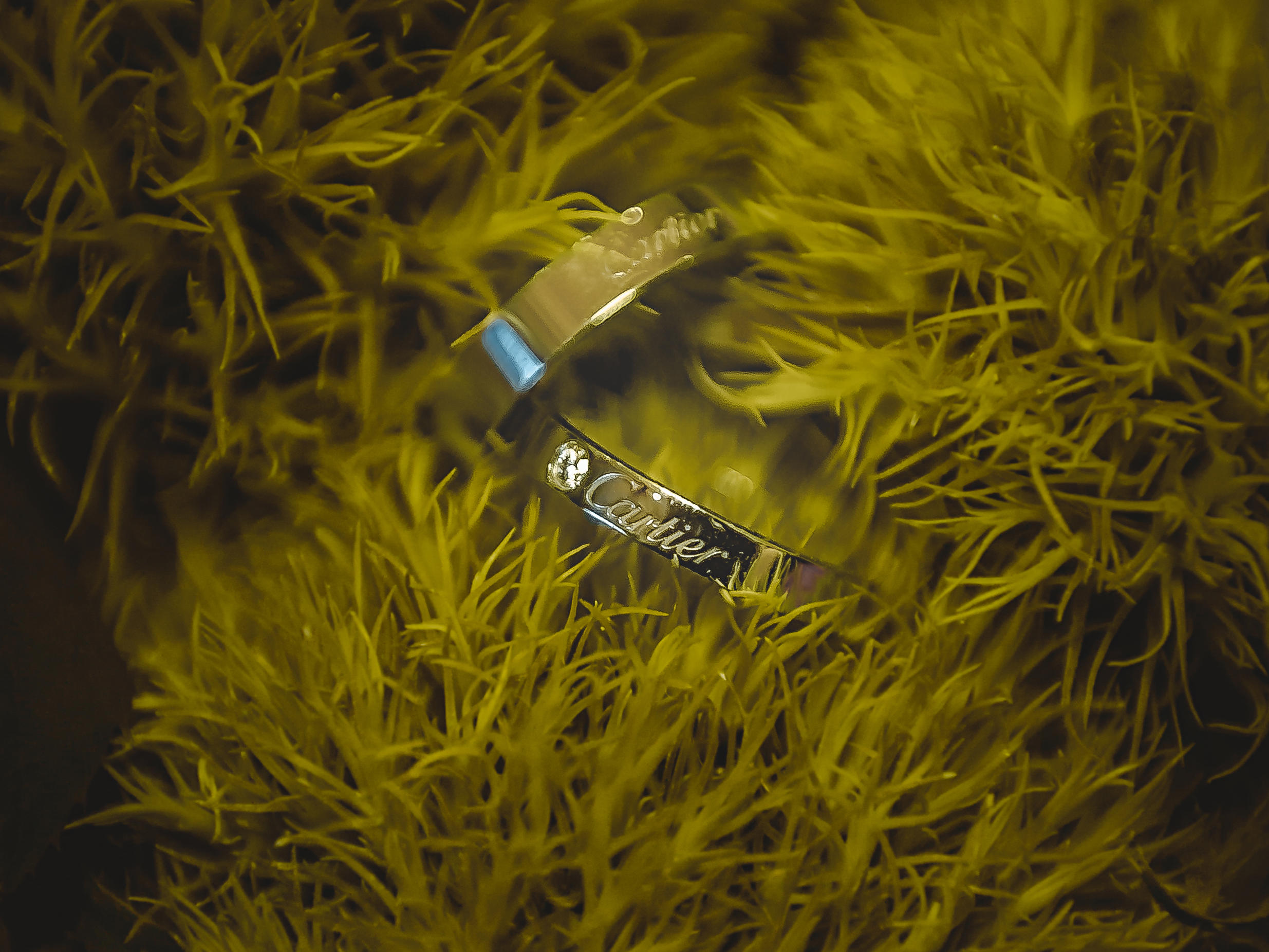 森系婚礼 在枝繁叶茂的雨林深处 遇到最爱的你