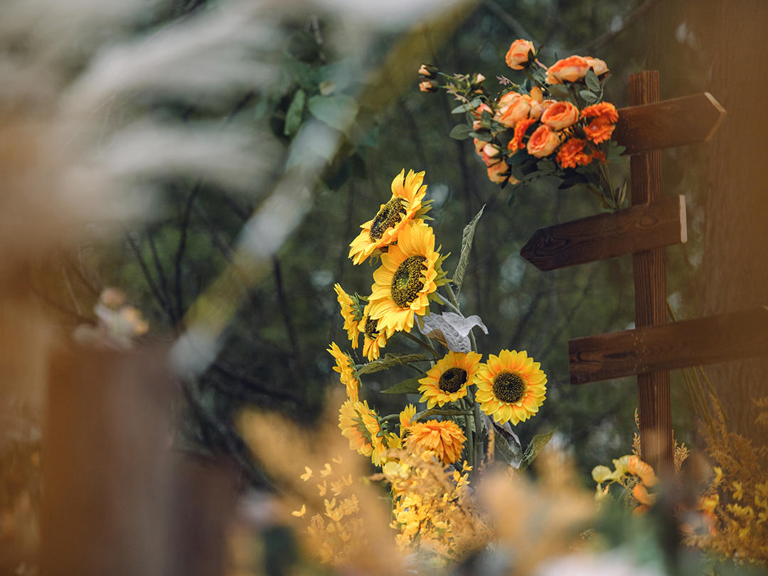 【艺空间婚礼】特色户外橙黄色系婚礼-《守护》