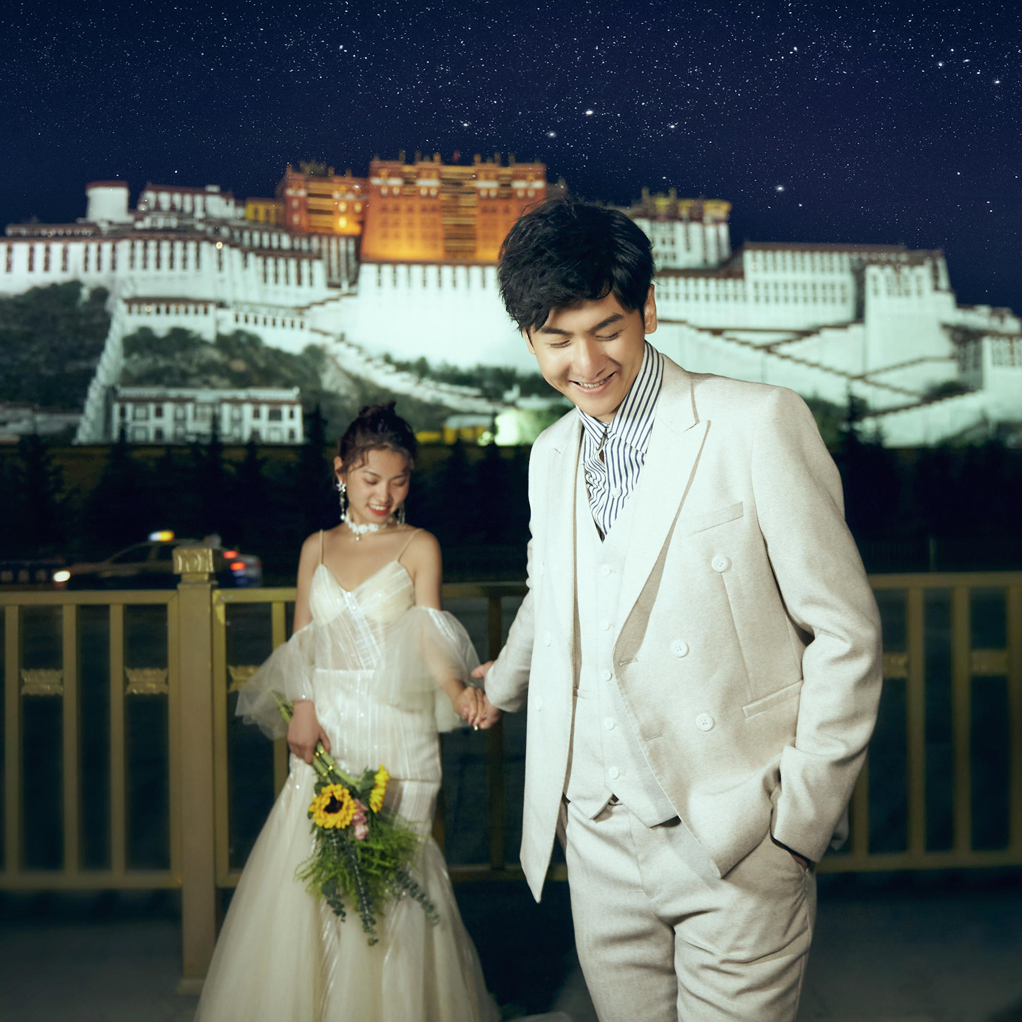 拉薩市區(qū)布達(dá)拉宮＋大昭寺＋天堂草原3888