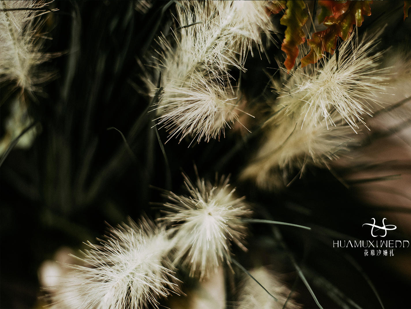 【持续经典的色系搭配】新娘们的百搭选择