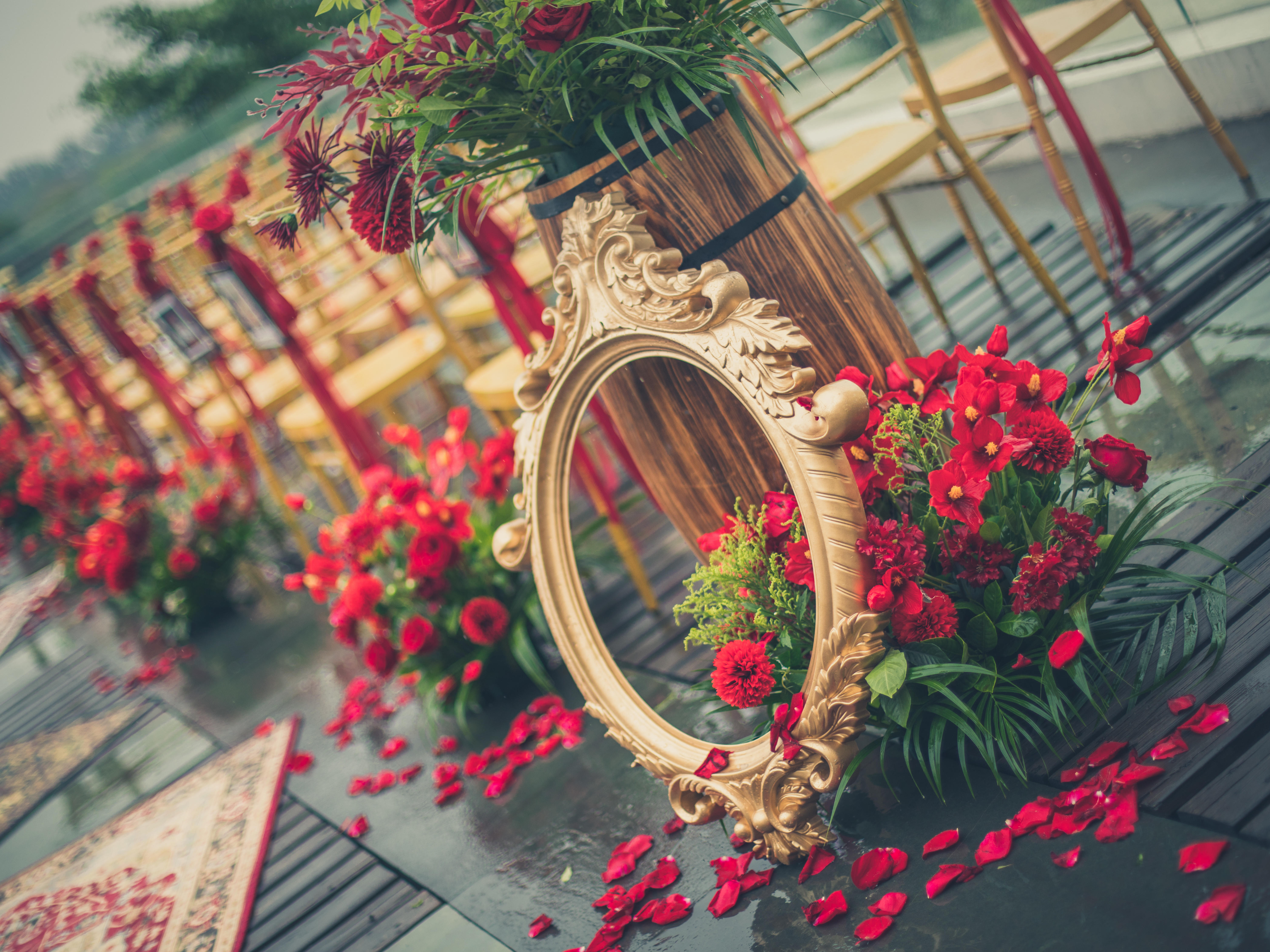 【白头吟】朦胧细雨中，“爱”悄然而生！