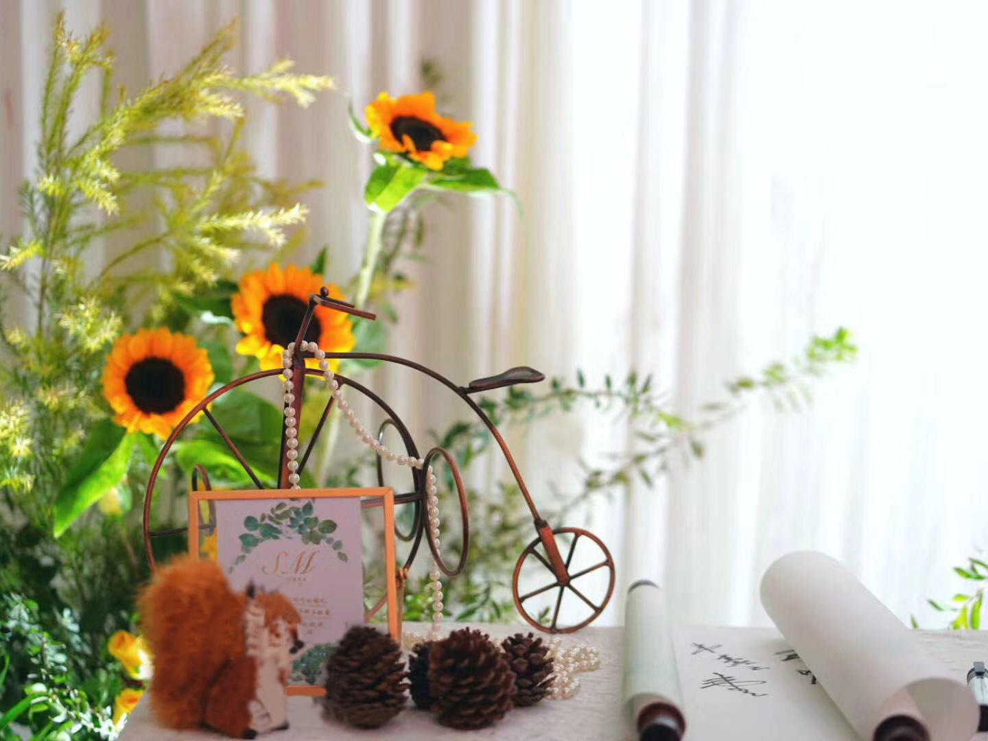 走进这片被月光笼罩的森林