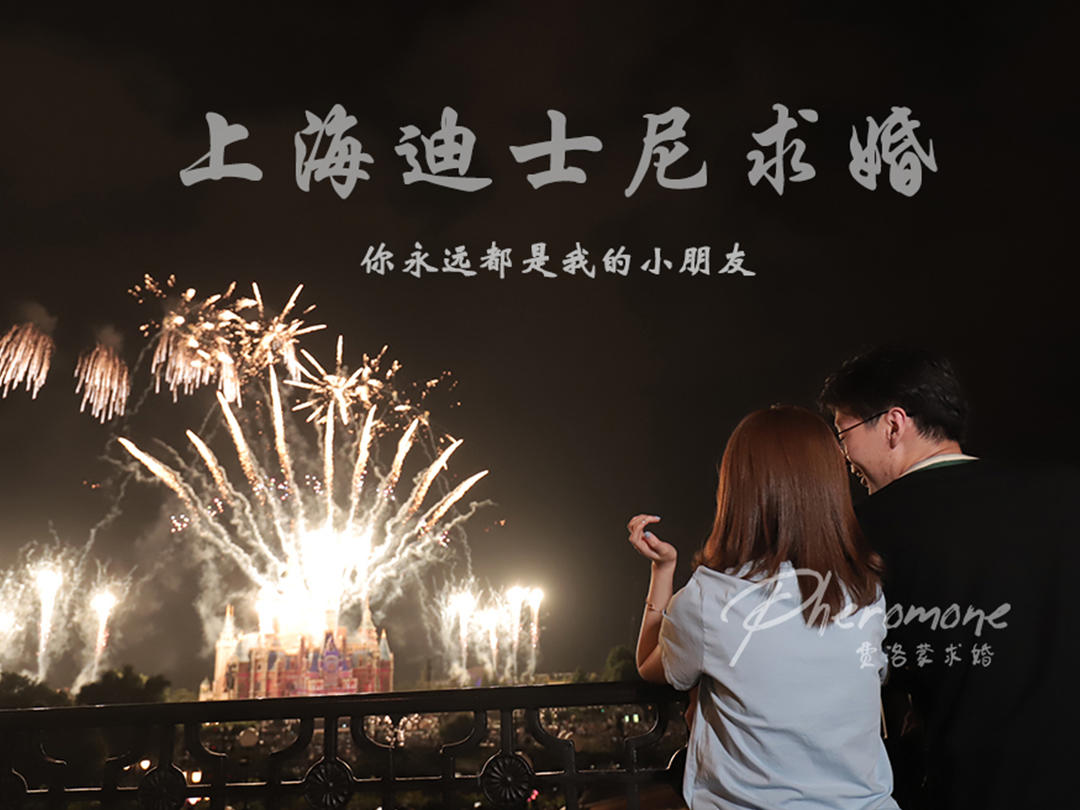 【上海迪士尼主题】求婚策划