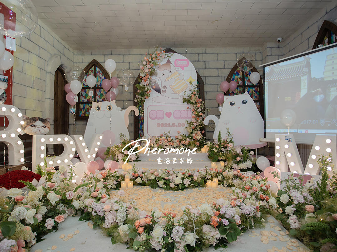 卡通猫咪主题｜惊吓过后的浪漫｜密室求婚