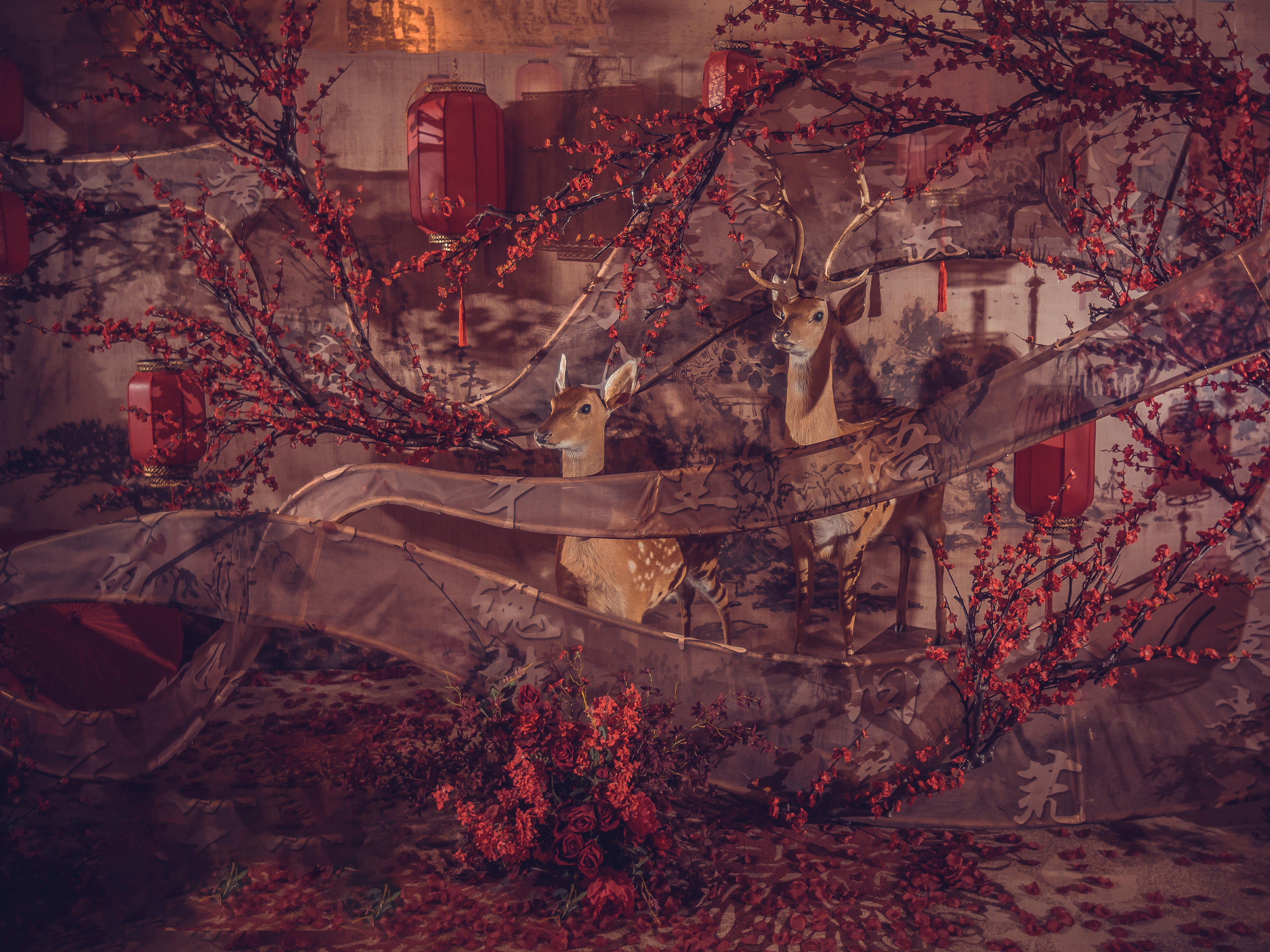 《就喜欢你》奢美婚礼婚庆主题