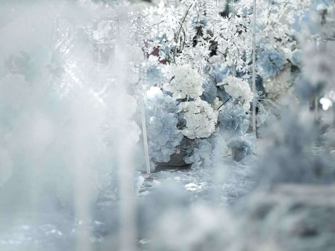 【盛世良辰】 预算不高可选择的梦幻婚礼