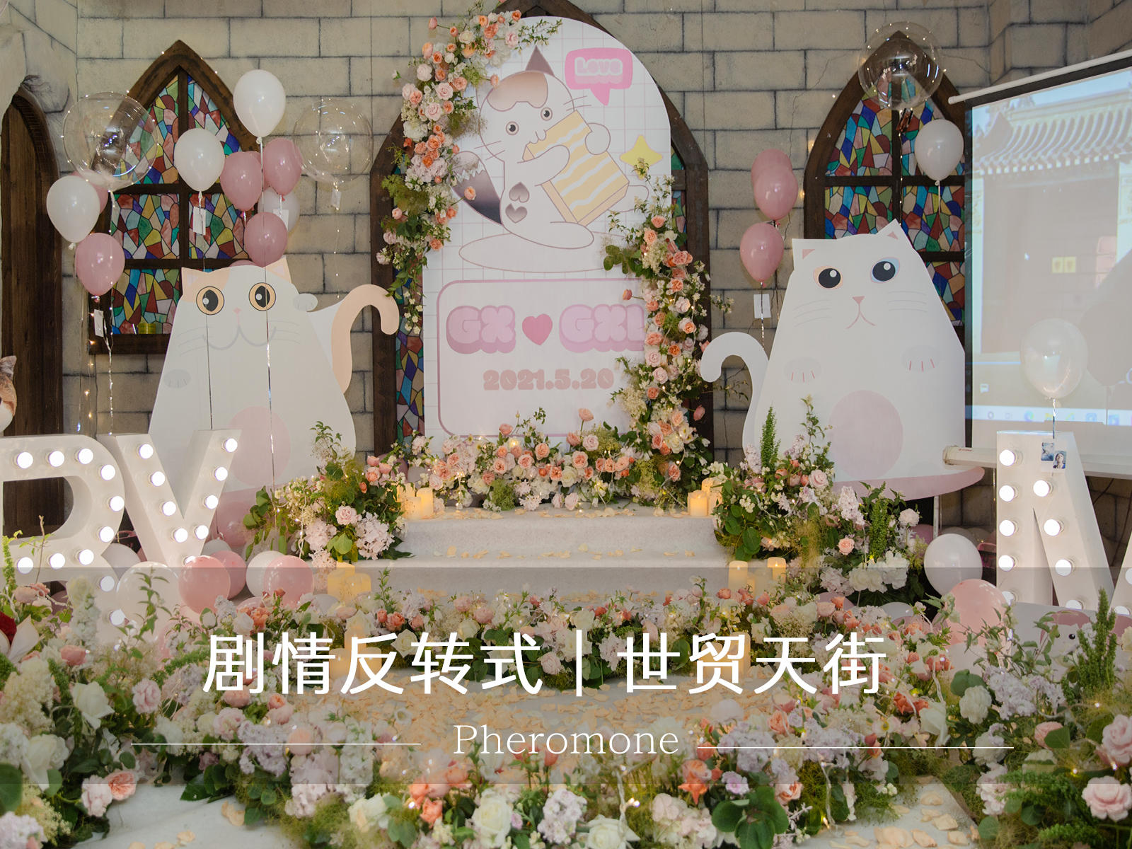 卡通猫咪主题｜惊吓过后的浪漫｜密室求婚