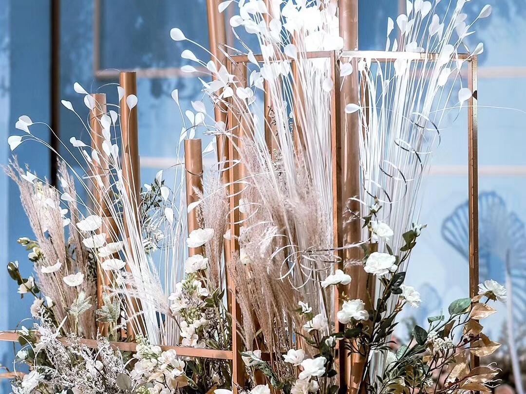 遵循内心，去追溯那一份纯真且至善至美的爱。