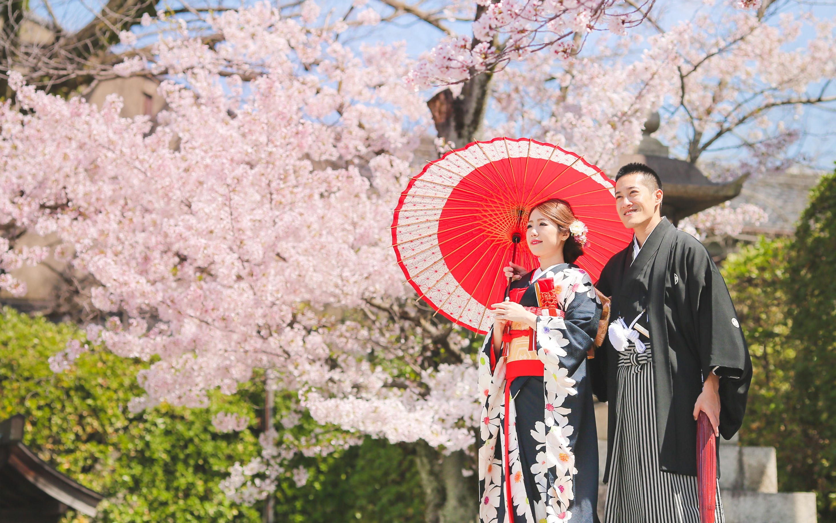 日本雅套系奈神戶京都名古屋北海道沖繩
