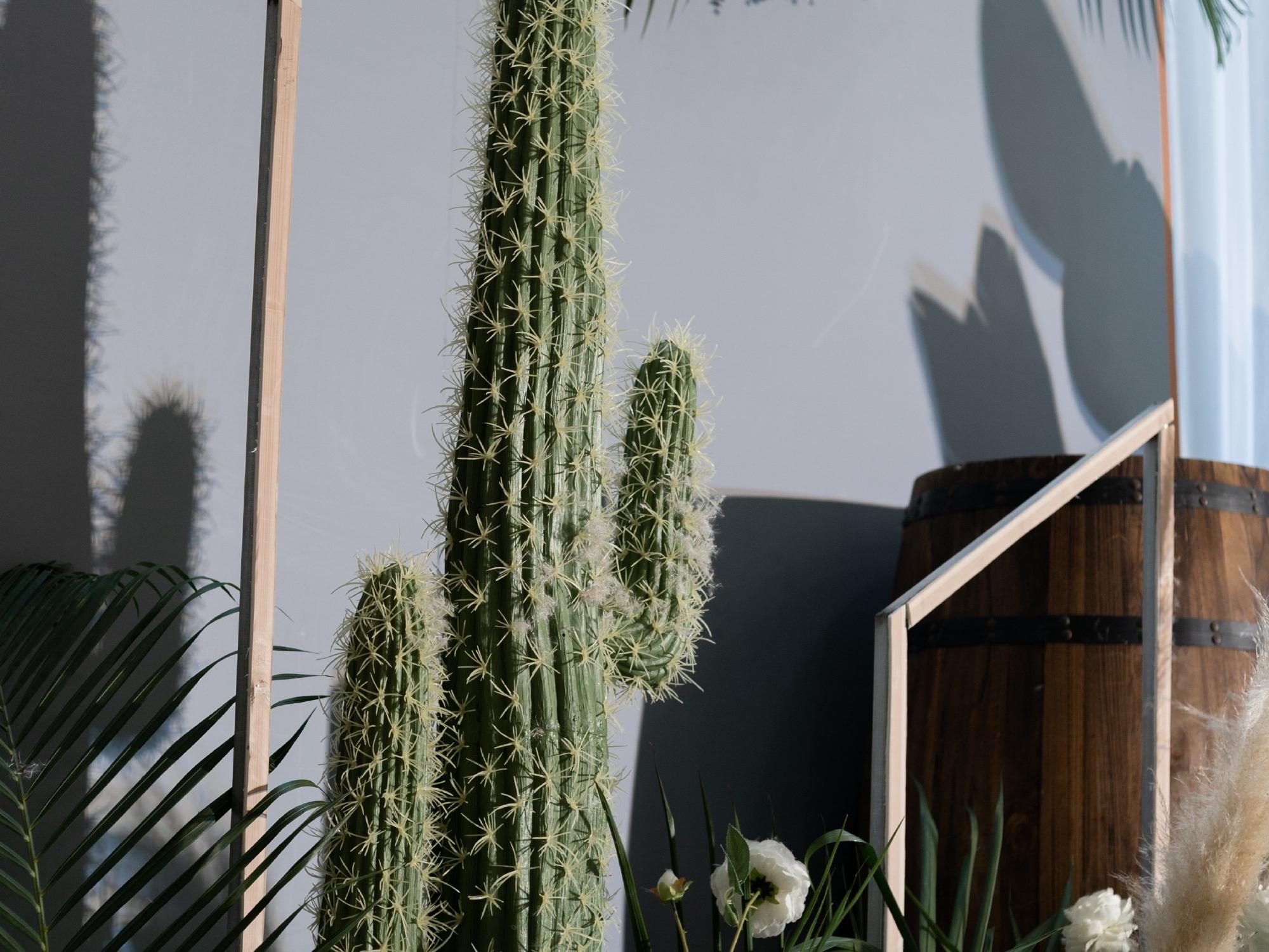 【私语】韩式梦幻小清新婚礼-彼德高端婚礼定制