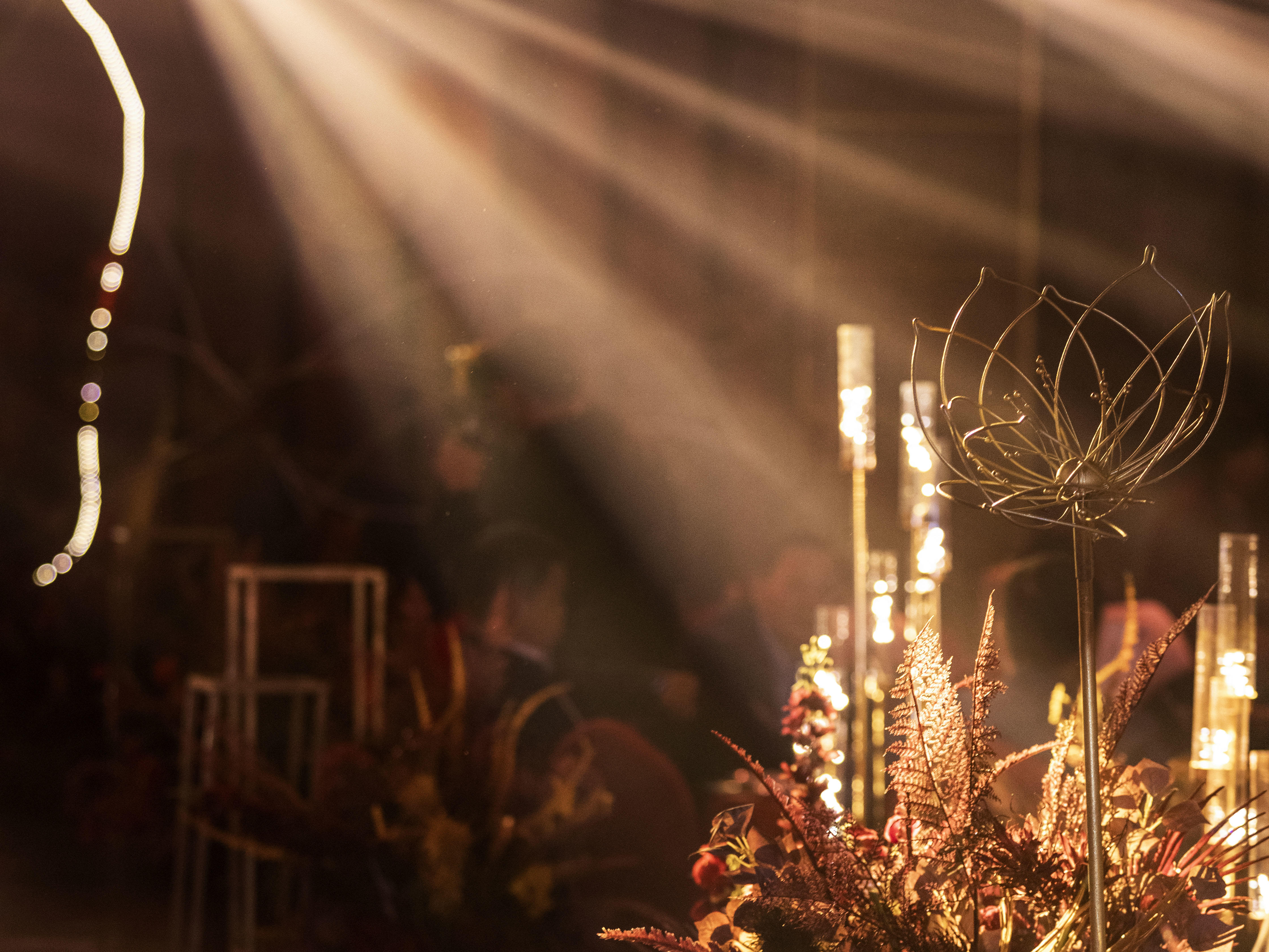 Wedding | 挚爱婚礼玫瑰的花心