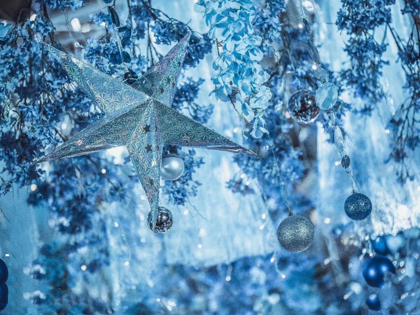 星空奢华创意风主题婚礼含老板亲自司仪化妆摄像摄影