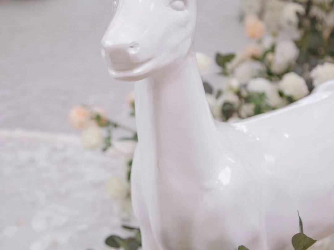 【香泽苑】白色系简约风婚礼