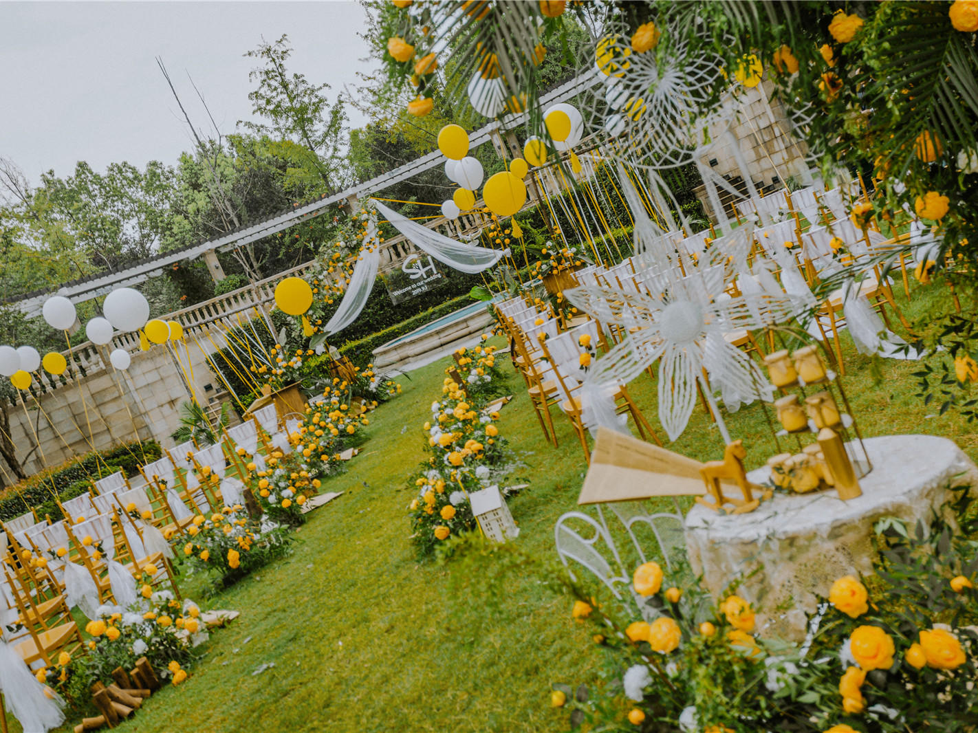 种草网红/白金汉爵香槟极简风