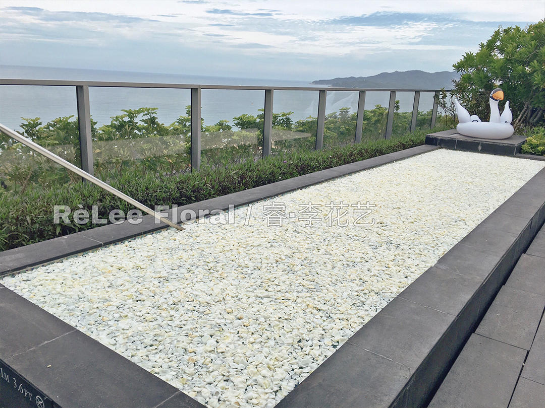 浪漫求婚成为彼此难忘回忆