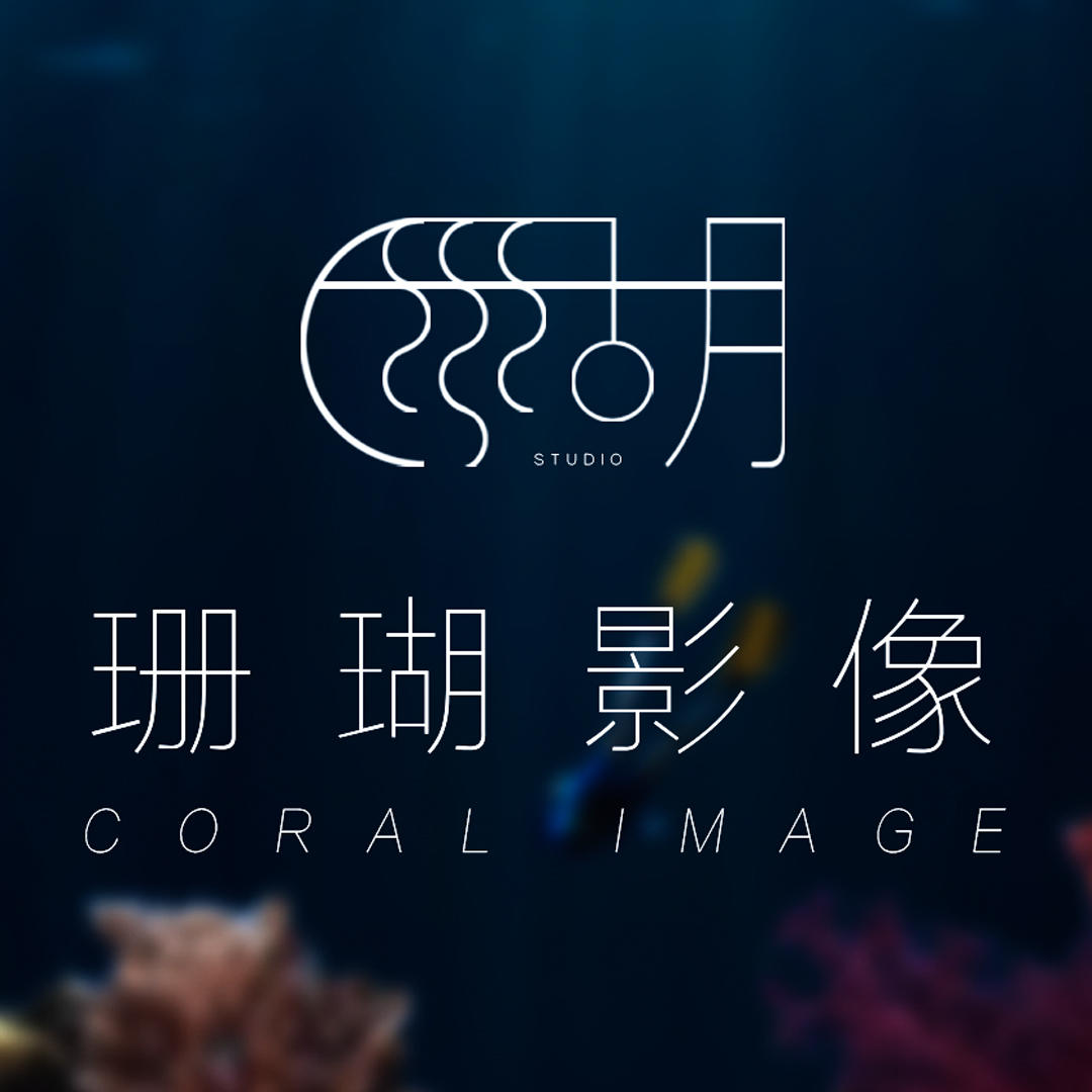 珊瑚影像
