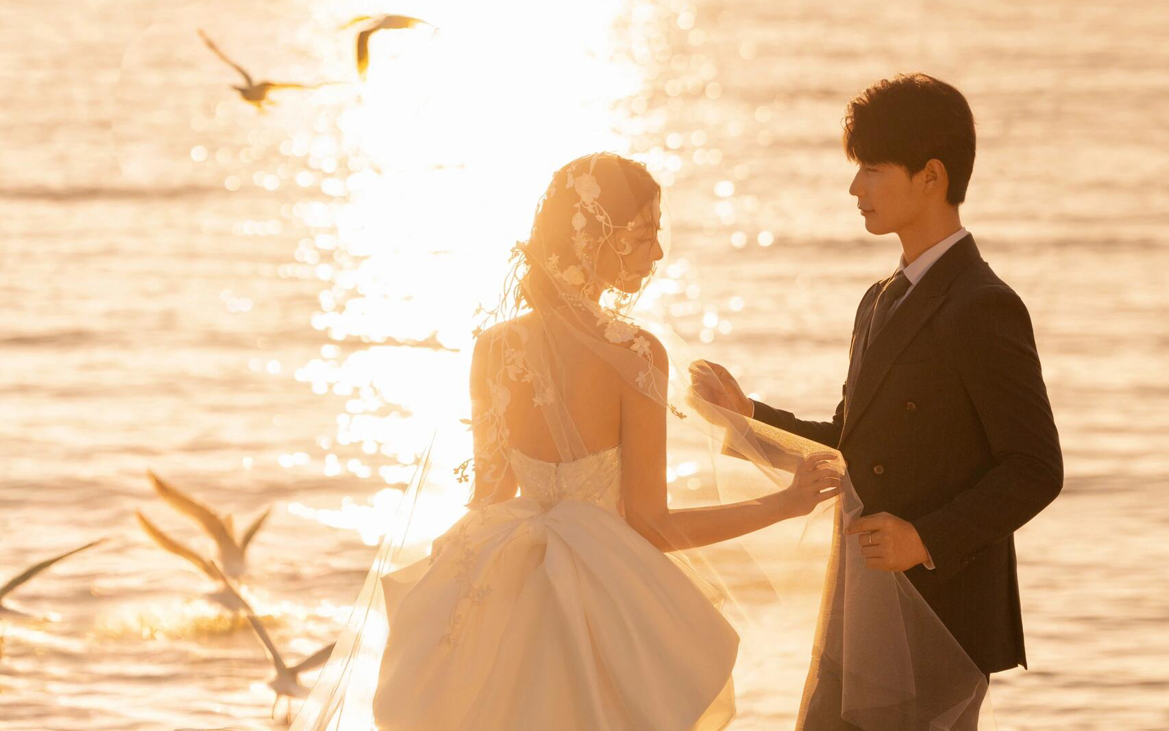 海鸥，夕阳和我们